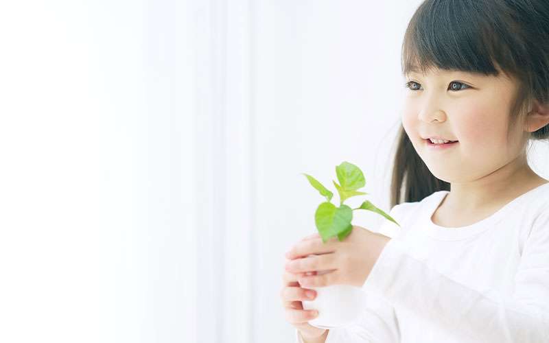 子どものイメージ画像